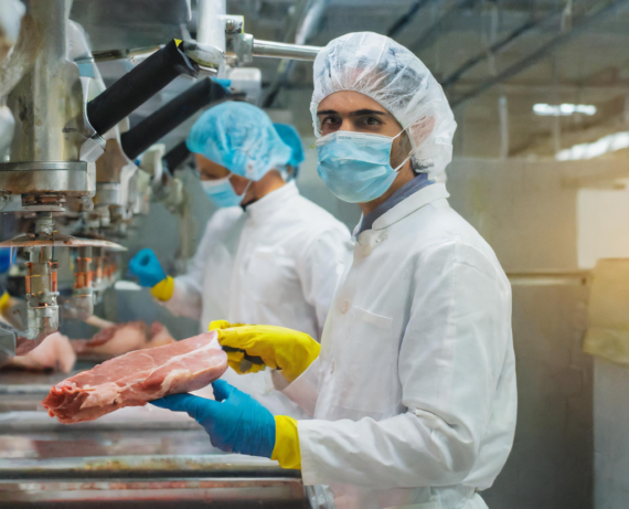 Seguridad Personal en Carnicería e Industria Cárnica